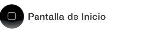 Pantalla de Inicio